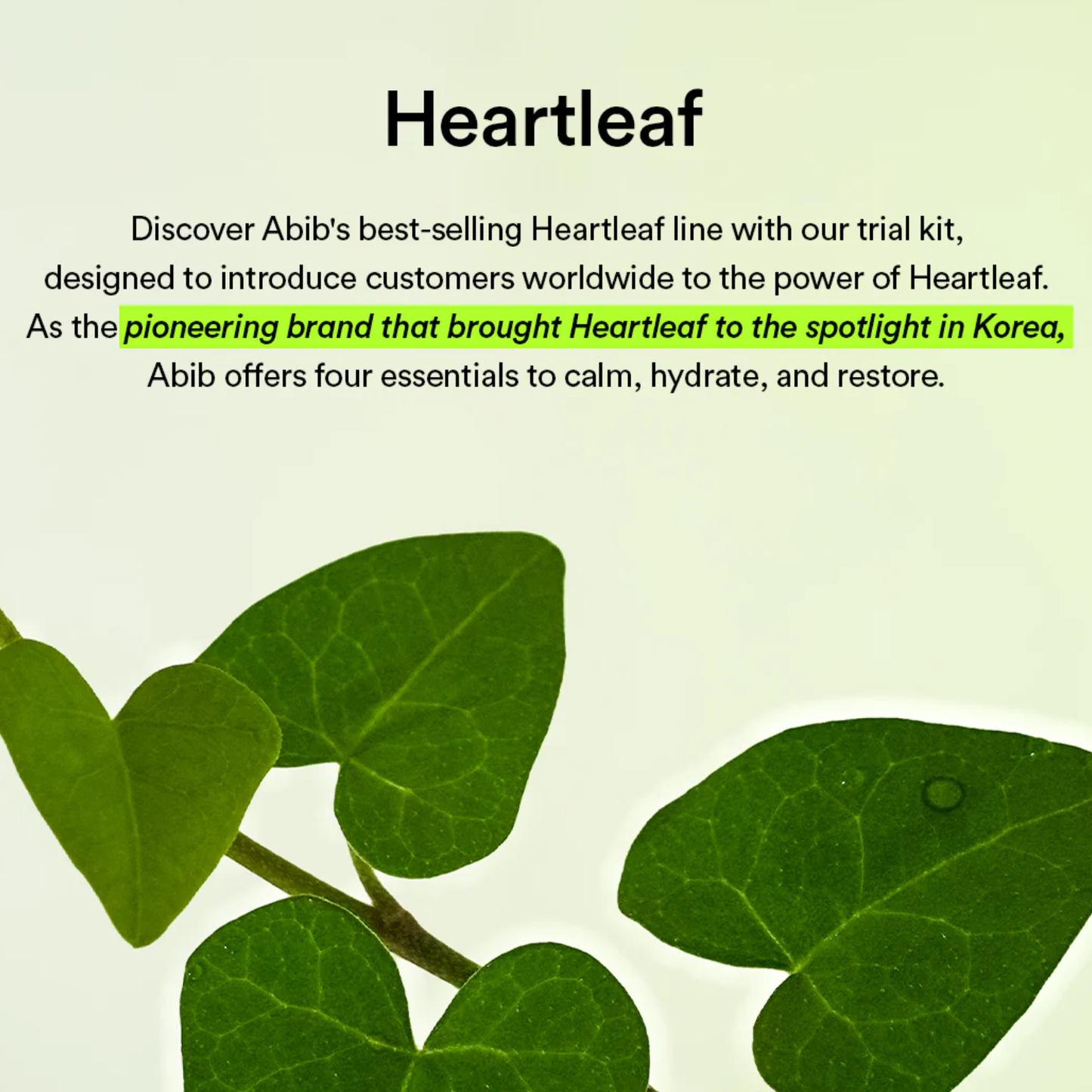 ABIB Heartleaf Calming Trial Kit